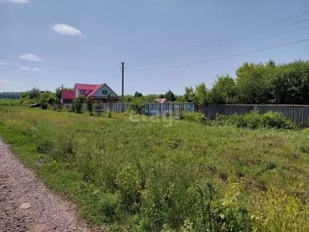 Участок в Башкортостан, Чишминский район, д. Арово Целинная ул. (10.4 ... - Фото 2