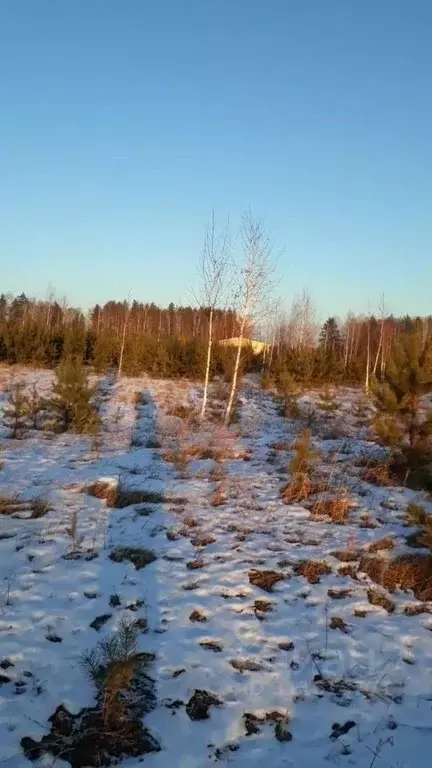 Участок в Свердловская область, Сысертский городской округ, с. ... - Фото 0