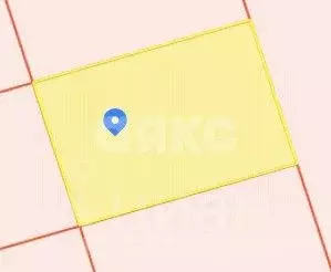 Участок в Московская область, Раменское Дергаево-3 кп,  (6.0 сот.) - Фото 2