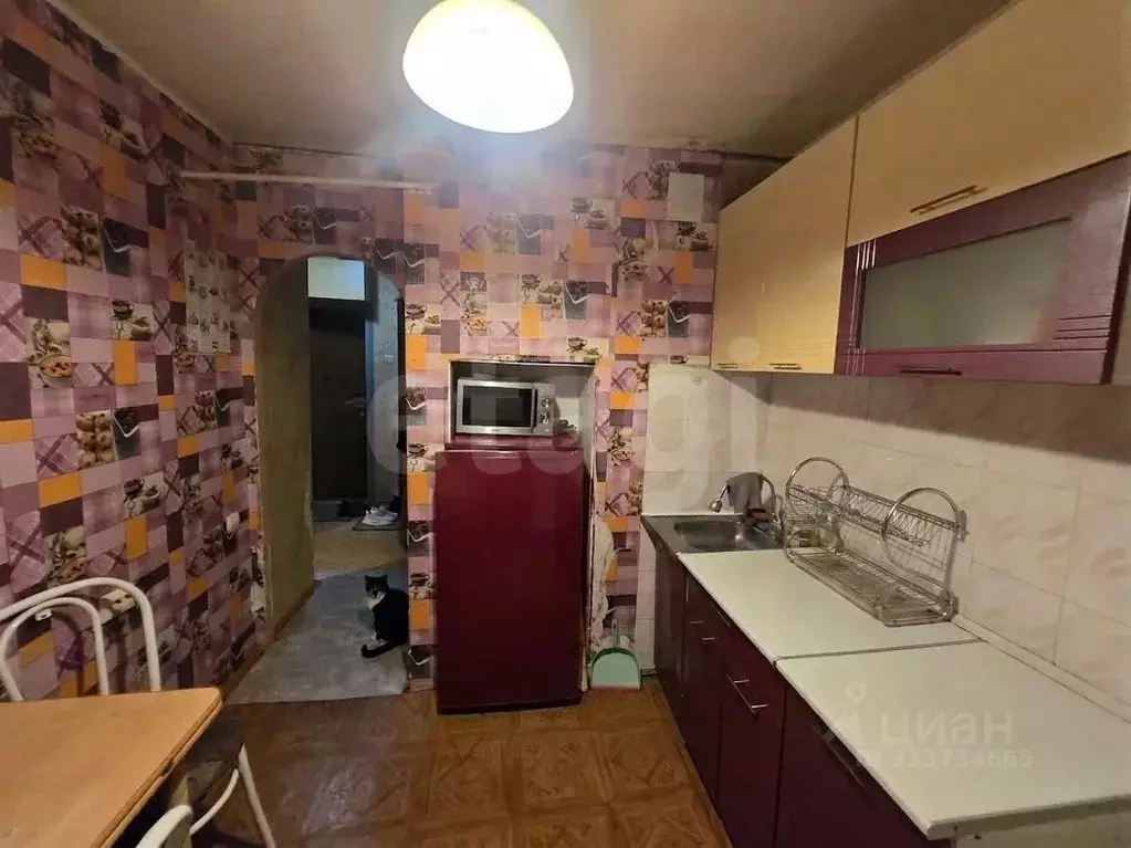 1-к кв. Тюменская область, Тюмень ул. Дружбы, 132 (34.0 м) - Фото 1