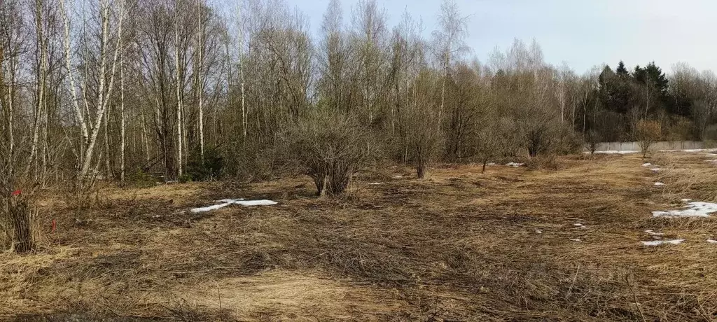 Участок в Калужская область, Совхоз Боровский с/пос, д. Уваровское ул. ... - Фото 0