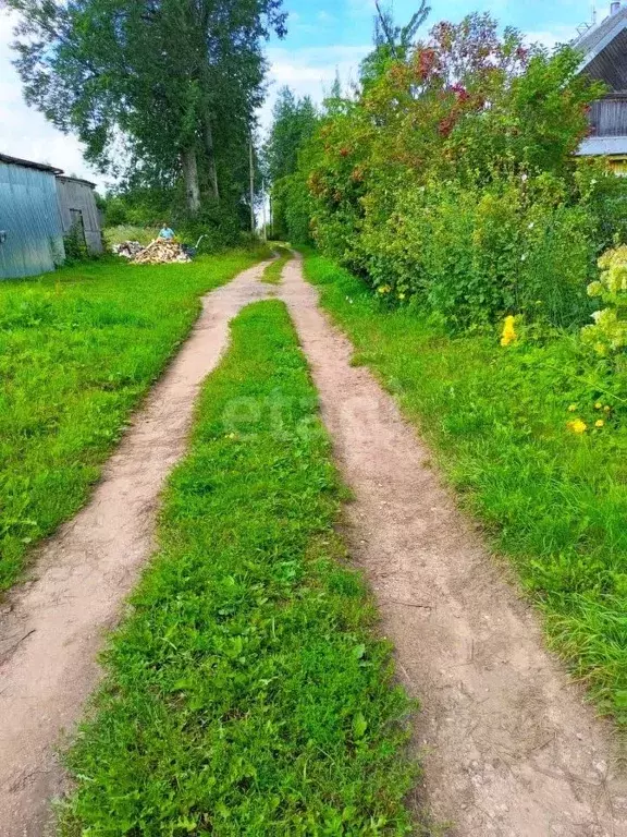 Дом в Псковская область, Дедовичский район, Шелонская волость, д. ... - Фото 1
