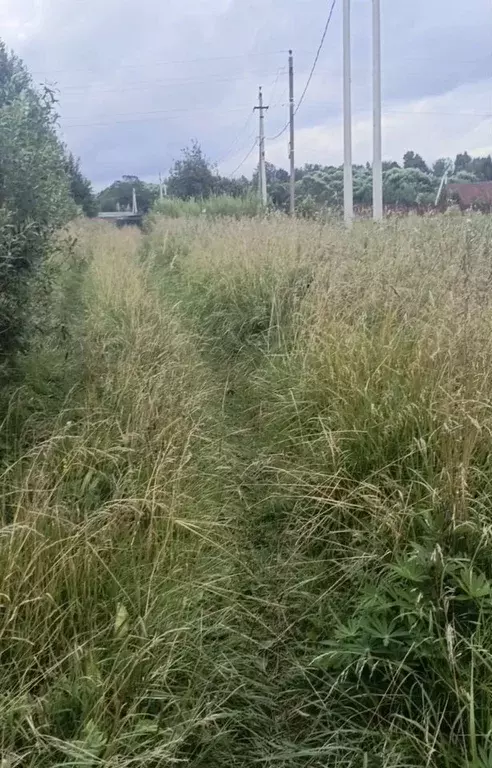 Участок в Московская область, Дмитровский муниципальный округ, д. ... - Фото 2