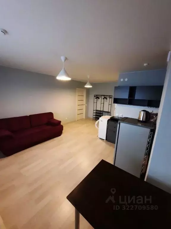 Студия Пермский край, Пермь ул. Гашкова, 53к2 (27.0 м) - Фото 1