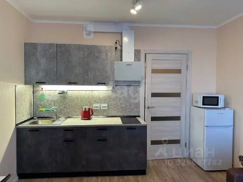 Студия Санкт-Петербург дор. Муринская, 27к3 (19.7 м) - Фото 0