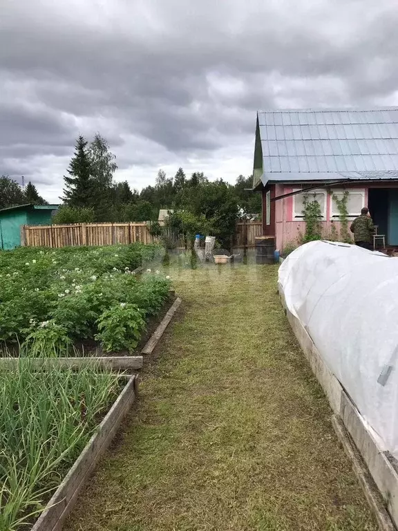 Дача 28 м на участке 7 сот. - Фото 0