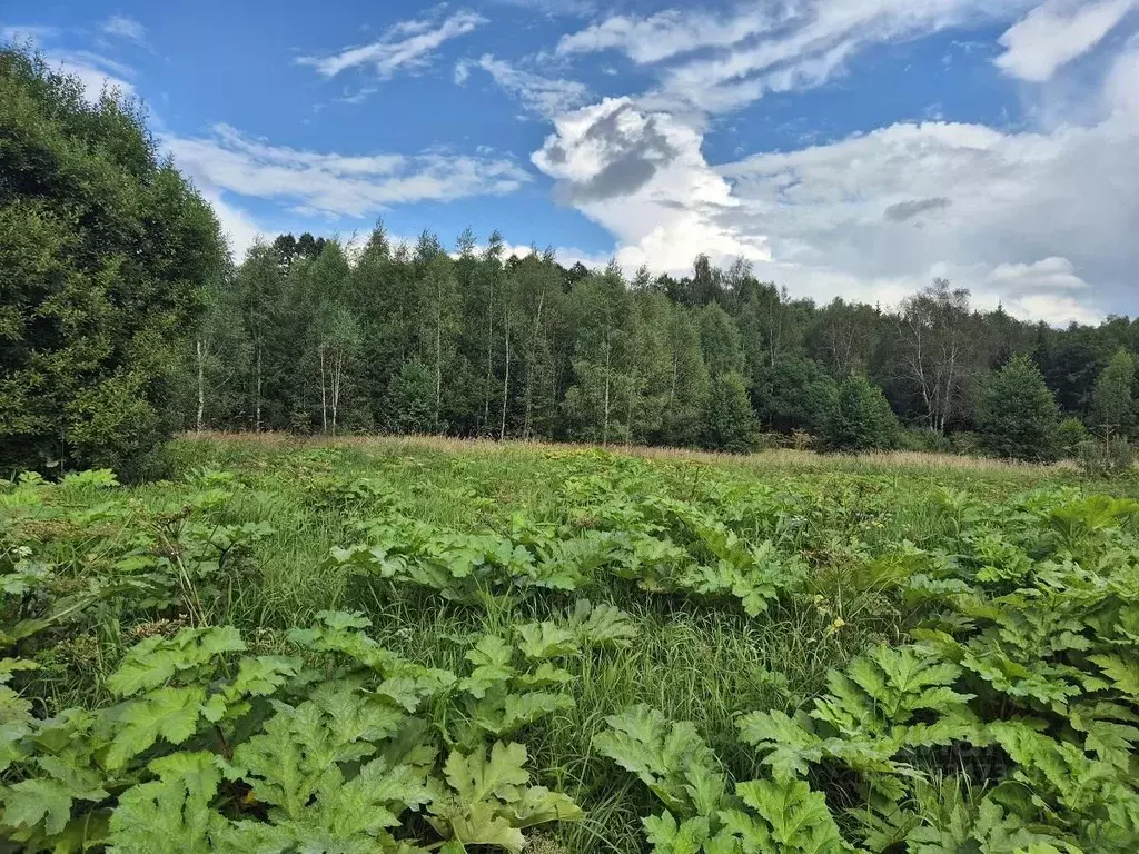 Участок в Москва д. Ярцево,  (8.29 сот.) - Фото 1