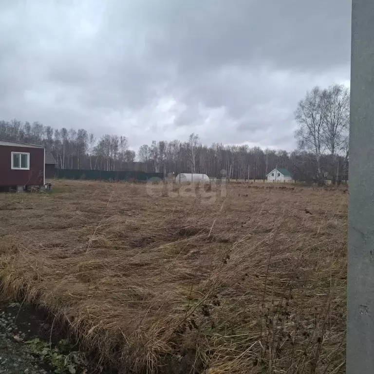 Участок в Новосибирская область, Новосибирский район, с. Плотниково ... - Фото 1