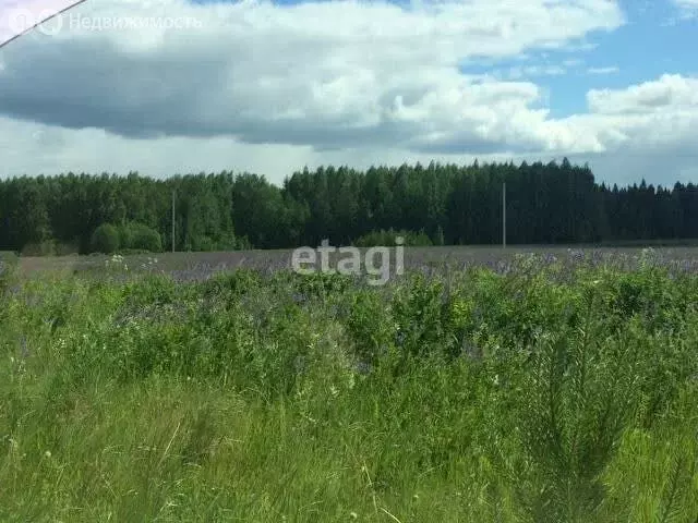 Участок в Кирово-Чепецкий район, село Пасегово (10 м) - Фото 1