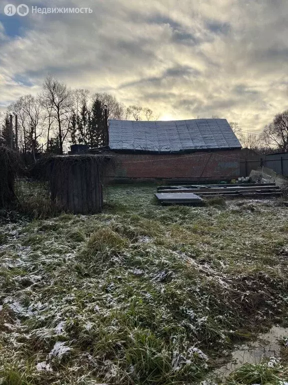 Дом в Ястребовка, деревня Ястребовка, 50 (48.3 м) - Фото 2