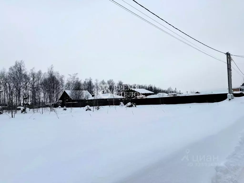 Участок в Владимирская область, Владимир д. Немцово, ул. Ольховая ... - Фото 1
