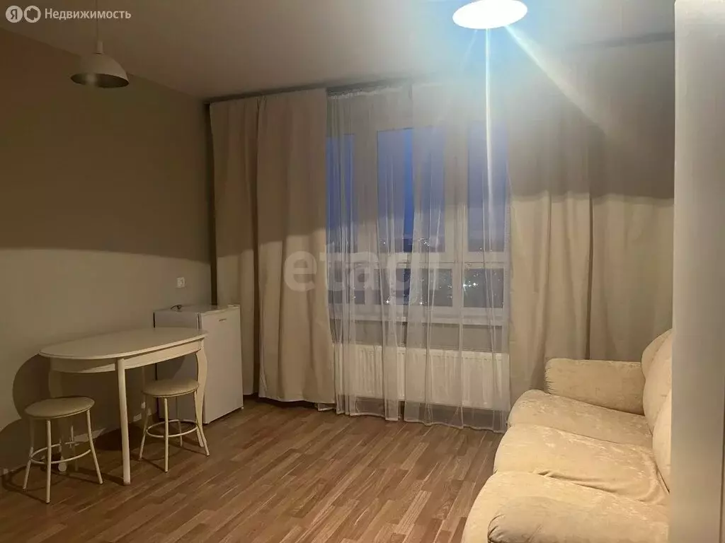 Квартира-студия: Екатеринбург, улица Печатников, 3 (24.5 м) - Фото 1