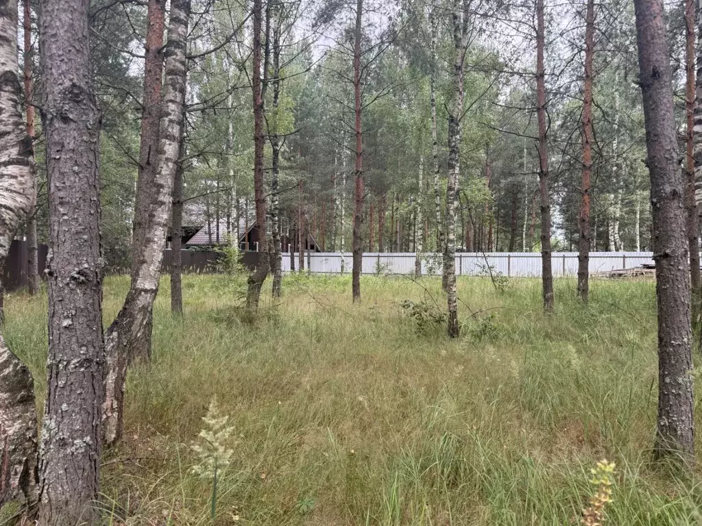 Участок в Владимирская область, Киржачский муниципальный округ, д. ... - Фото 1