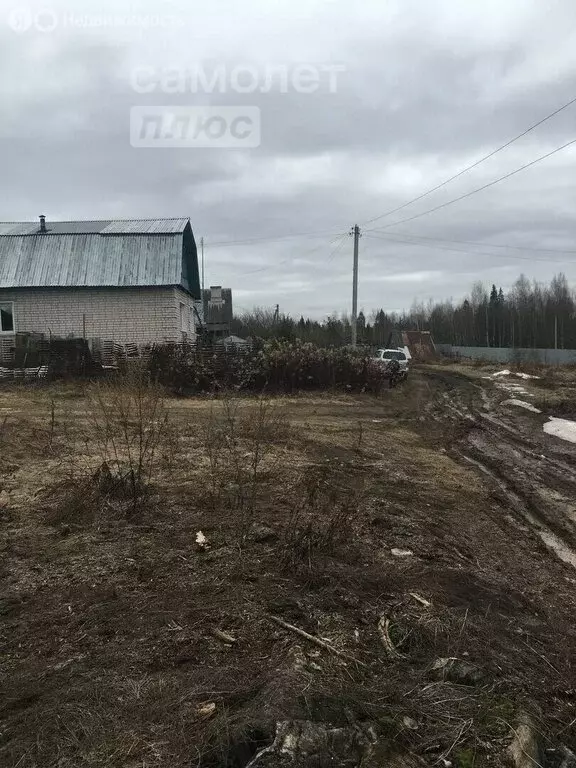 Участок в Богданихское сельское поселение, деревня Шульгино, 15 (25 м) - Фото 1