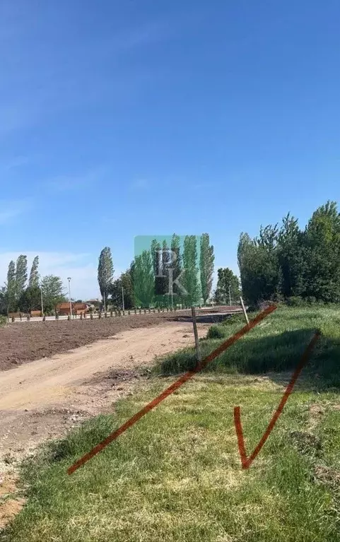 Участок в Крым, Белогорский район, Зуйское с/пос, с. Литвиненково ул. ... - Фото 1