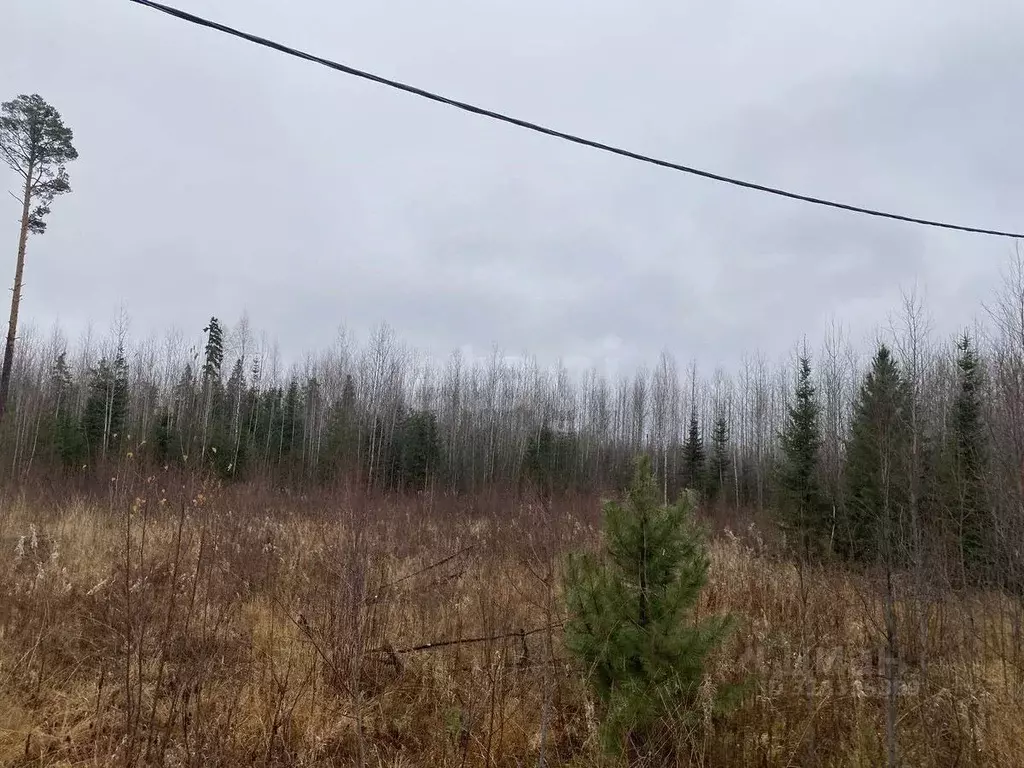 Участок в Ханты-Мансийский АО, Ханты-Мансийск  (8.45 сот.) - Фото 2