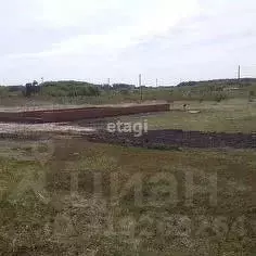 Участок в Курская область, Курск ДНТ Автолюбитель тер.,  (10.0 сот.) - Фото 1