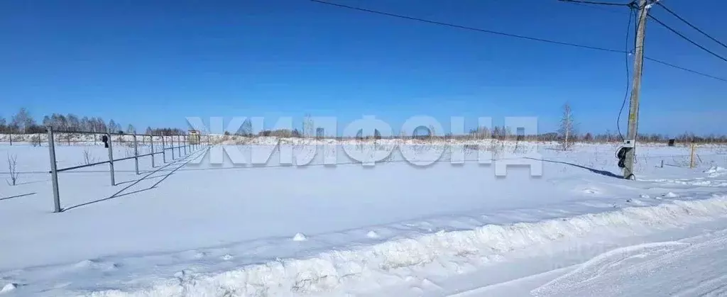 Участок в Новосибирская область, Новосибирский район, Верх-Тулинский ... - Фото 1