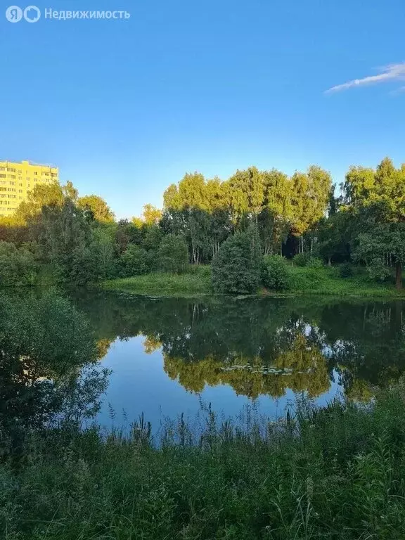 1-комнатная квартира: Подольск, микрорайон Климовск, Рощинская улица, ... - Фото 2