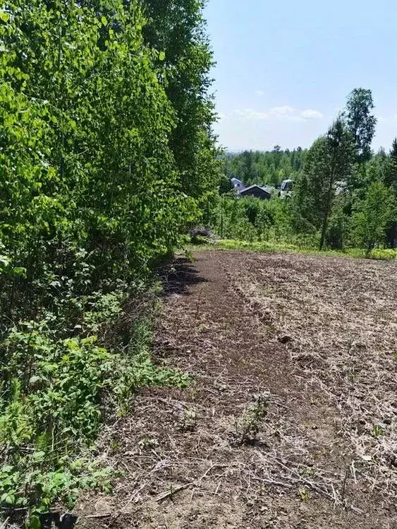 Участок в Иркутская область, Иркутский муниципальный округ, Ивушка СНТ ... - Фото 0