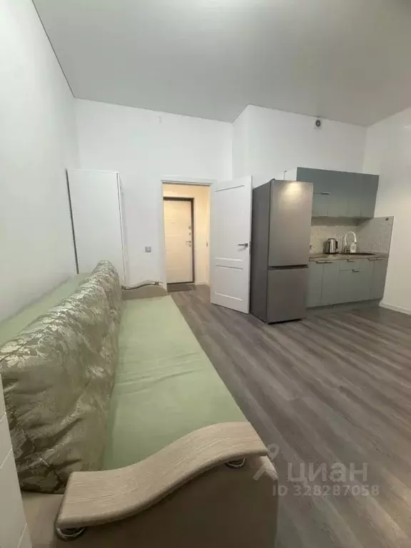 Студия Санкт-Петербург Светлановский просп., 14к1 (24.5 м) - Фото 2