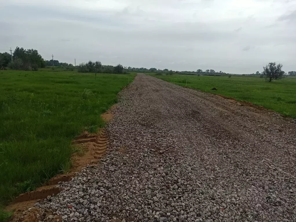 Участок в Самарская область, Ставропольский район, с. Ташелка ул. ... - Фото 1