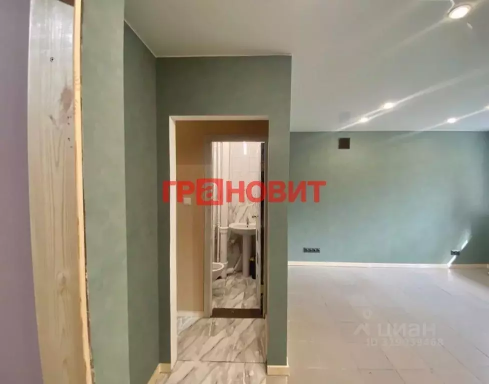 Помещение свободного назначения в Новосибирская область, Новосибирск ... - Фото 1