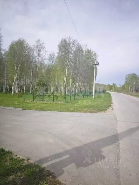 Участок в Новосибирская область, Новосибирский район, Кудряшовский ... - Фото 1