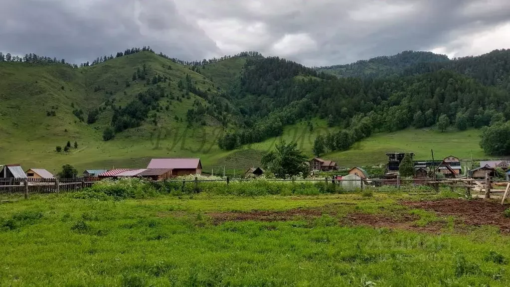 Участок в Алтай, Чемальский район, с. Уожан  (12.0 сот.) - Фото 1