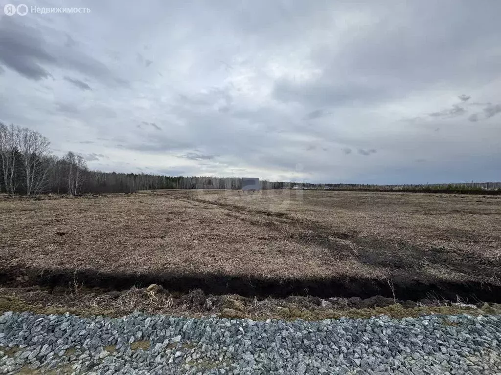Участок в Тюменский район, село Кулига, коттеджный посёлок Заповедный ... - Фото 1