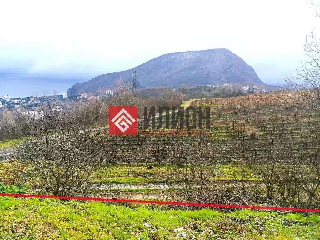 Участок в Крым, Алушта муниципальный округ, с. Нижнее Запрудное ул. ... - Фото 2