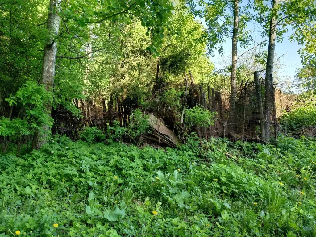 Дом в Брянская область, Брянск пос. Городище,  (20 м) - Фото 2