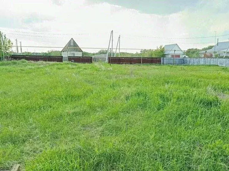 Участок в Оренбургская область, Сакмарский район, с. Архиповка Луговая ... - Фото 1