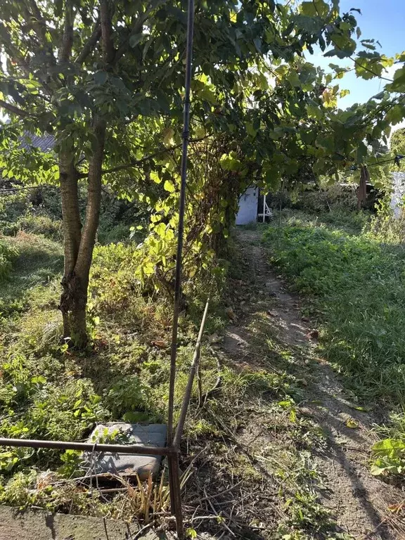 3-к кв. Липецкая область, Грязинский район, Сошкинский сельсовет, с. ... - Фото 2