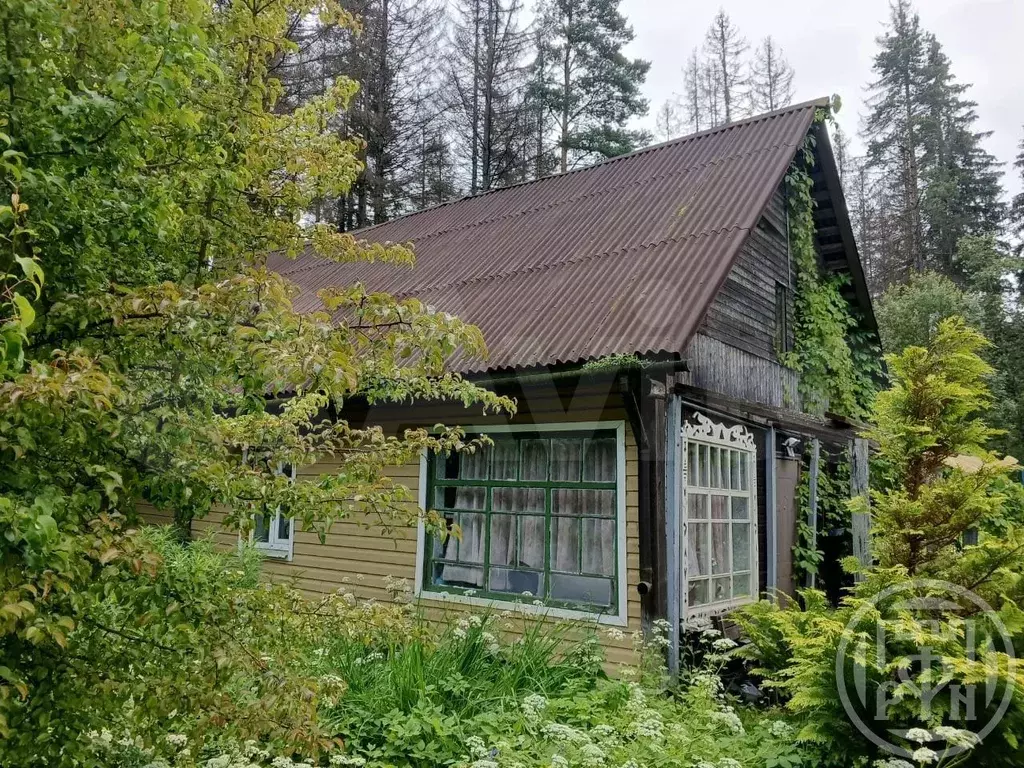 Дом 62 м на участке 10,5 сот. - Фото 1