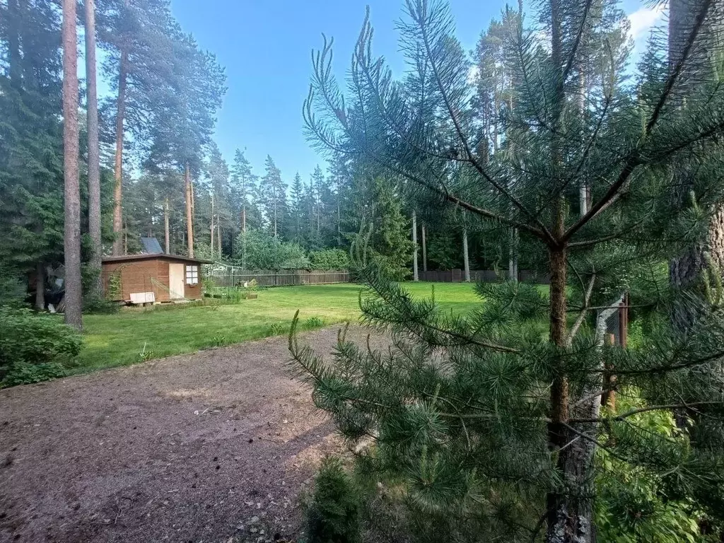 Участок в Ленинградская область, Гатчинский район, Вырица городской ... - Фото 0