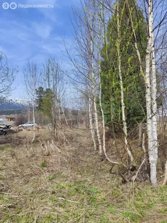 Участок в посёлок городского типа Шерегеш, СНТ Шерегешевец, 2-я Дачная ... - Фото 1