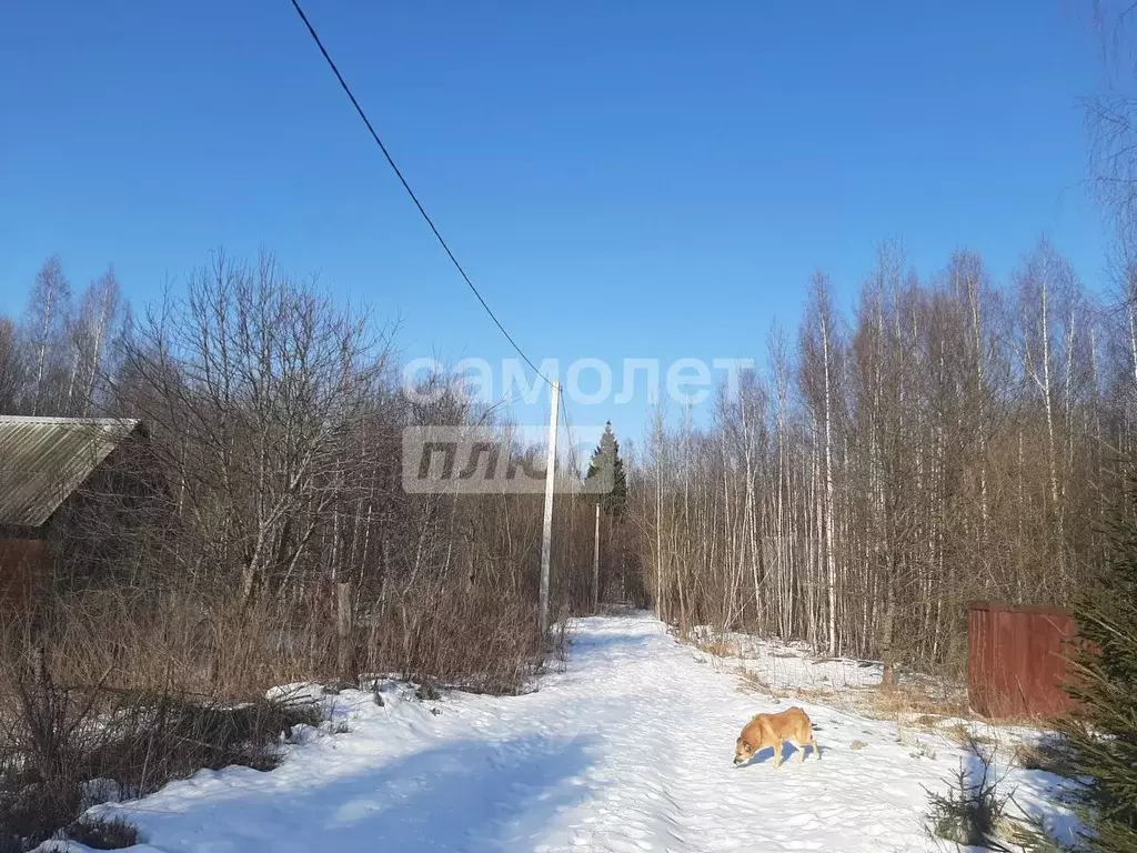 Участок в Владимирская область, Александровский район, Следневское ... - Фото 0