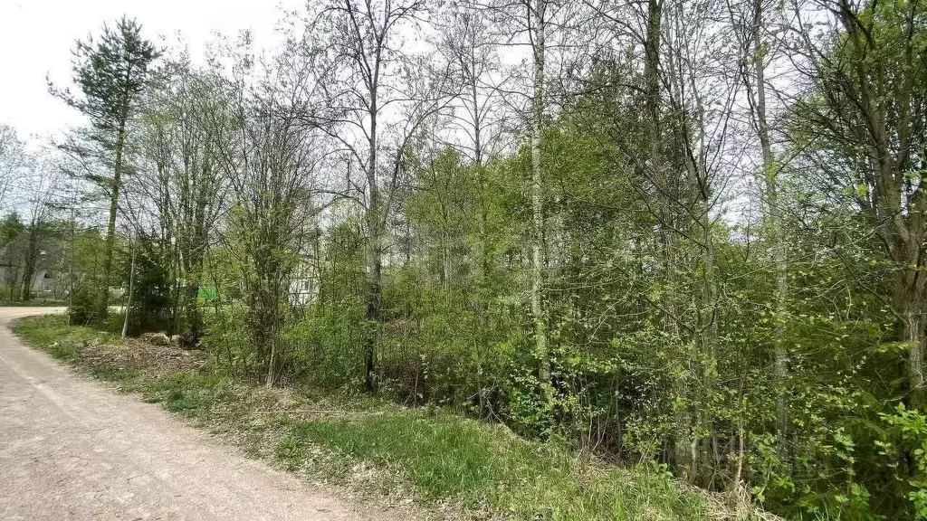 Участок в Ленинградская область, Всеволожский район, Юкковское с/пос, ... - Фото 1