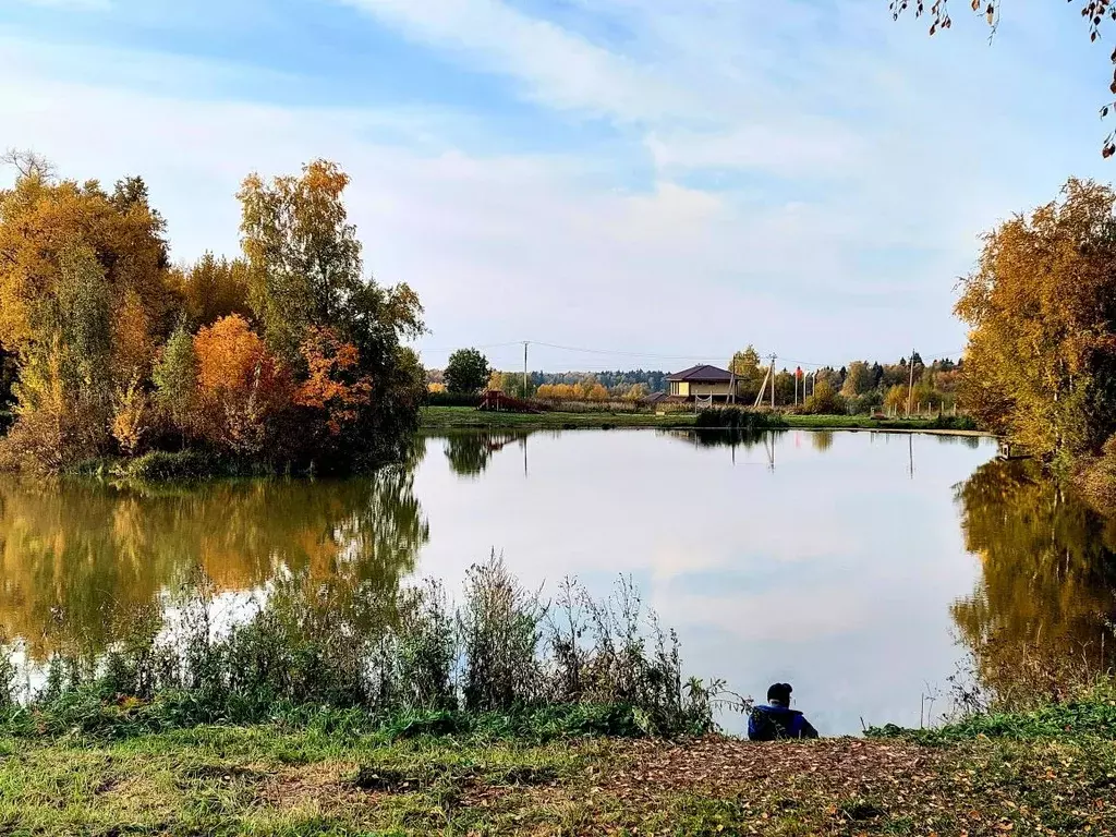 Участок в Московская область, Пушкинский городской округ, д. Алешино ... - Фото 0