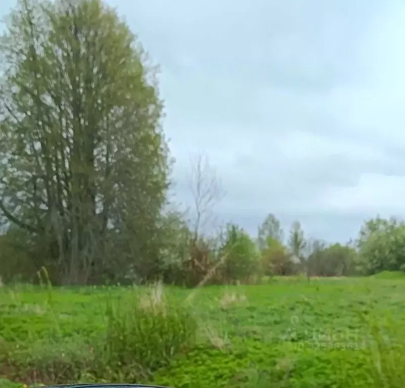 Участок в Псковская область, Псковский район, Ершовская волость, д. ... - Фото 2