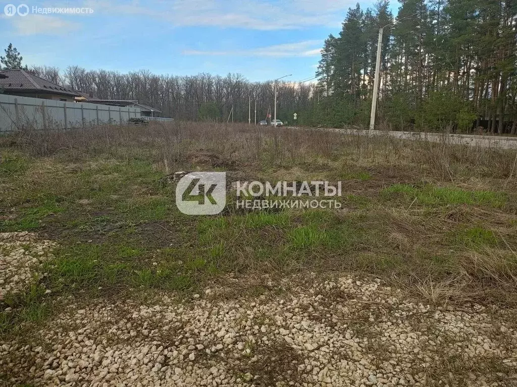 Участок в село Староживотинное, Кооперативная улица, 4 (5.65 м) - Фото 2