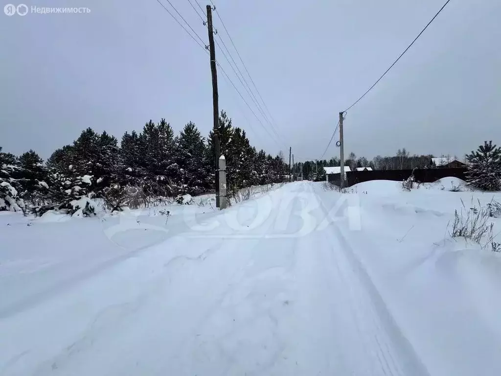 Участок в Тюменская область, Нижнетавдинский муниципальный округ, ... - Фото 1