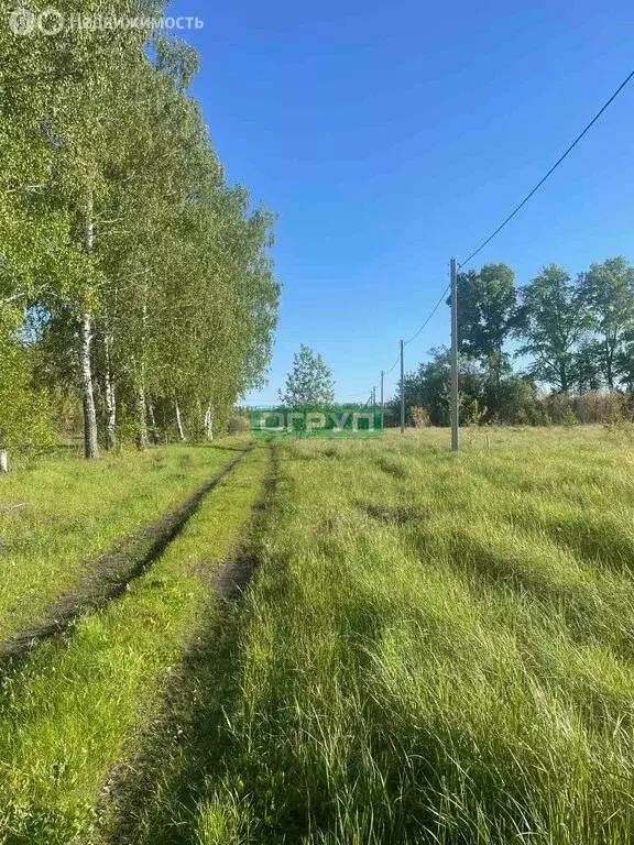 Участок в Пензенская область, село Бессоновка (20 м) - Фото 0