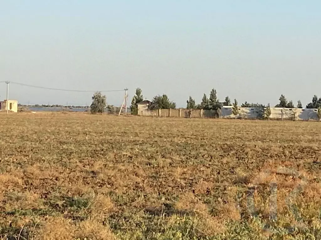 Участок в Крым, Сакский район, с. Молочное 2 (6.0 сот.) - Фото 2