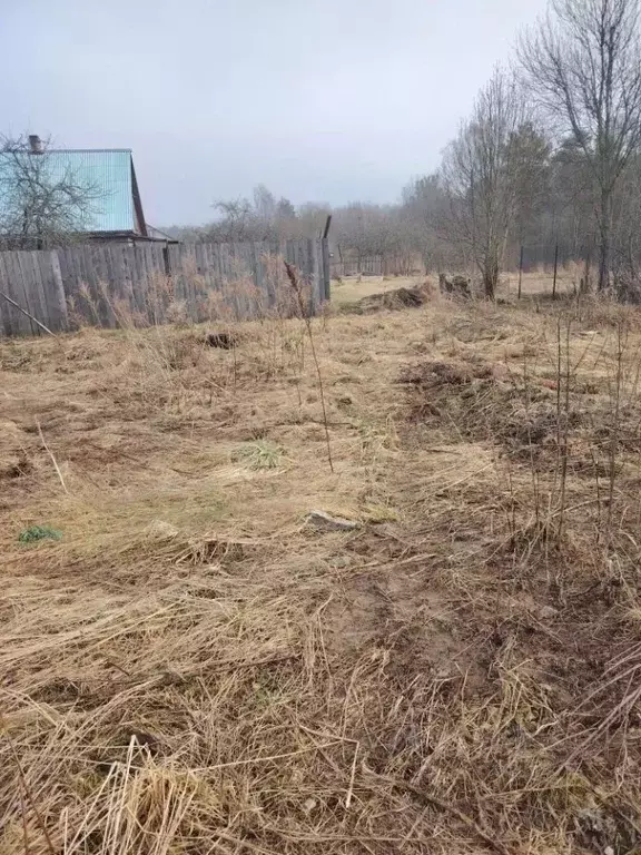 Участок в Ленинградская область, Ломоносовский район, Лебяженское ... - Фото 2