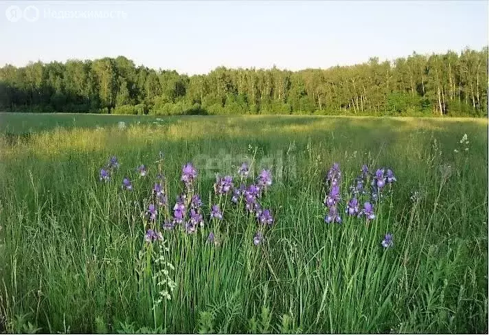 Дом в сельское поселение Лопатино, деревня Кресты (144 м) - Фото 0