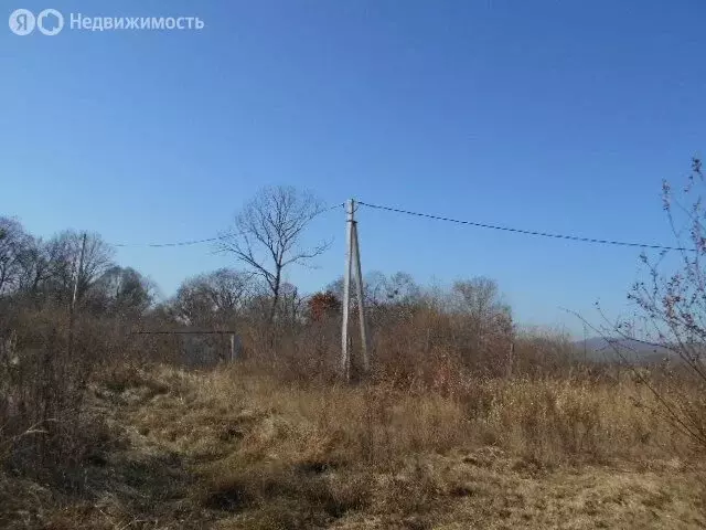 Участок в Приморский край, Партизанский муниципальный округ, село ... - Фото 0