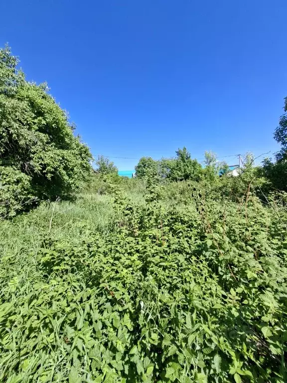 Участок в Курганская область, Курган Родничок Треста ... - Фото 2