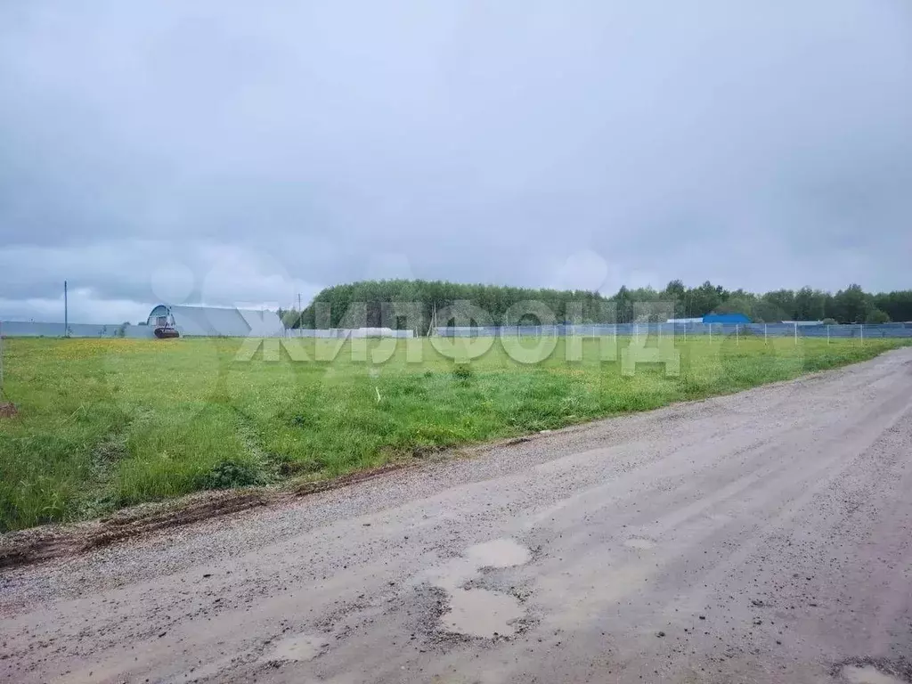Участок 65 сот. (СНТ, ДНП) - Фото 0